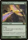 Product image for Birds of Paradise