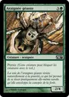 Product image for Araignée géante