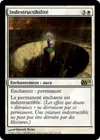 Product image for Indestructibilité