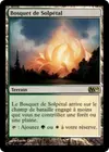 Product image for Bosquet de Solpétal