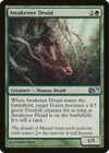 Product image for Awakener Druid