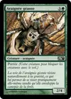 Product image for Araignée géante