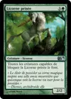 Product image for Licorne prisée