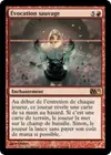 Product image for Évocation sauvage
