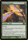 Product image for Birds of Paradise