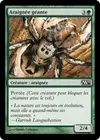 Product image for Araignée géante