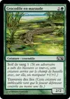 Product image for Crocodile en maraude