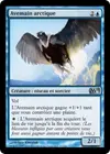 Product image for Avemain arctique