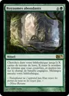 Product image for Royaumes abondants