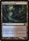 Product image for Drowned Catacomb