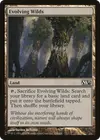 Product image for Evolving Wilds