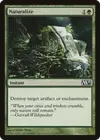 Product image for Naturalize