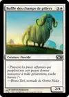 Product image for Buffle des champs de piliers