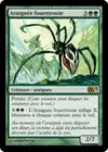 Product image for Araignée fouettesoie