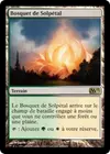 Product image for Bosquet de Solpétal