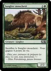 Product image for Sanglier moucheté