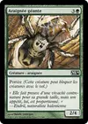 Product image for Araignée géante