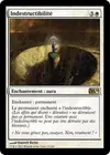 Product image for Indestructibilité