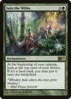 Product image for Into the Wilds