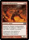 Product image for Diables brûlegoudron