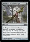 Product image for Bâton du magus sauvage