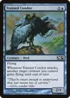 Product image for Trained Condor
