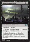 Product image for Goudron caustique