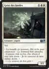 Product image for Geist des landes