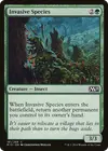 Product image for Invasive Species