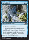Product image for Invisibilité
