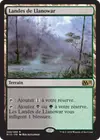 Product image for Landes de Llanowar