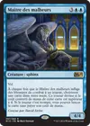 Product image for Maître des malheurs