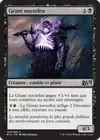 Product image for Géant noctefeu