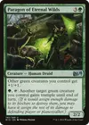 Product image for Paragon of Eternal Wilds