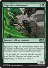 Product image for Sage du reboisement