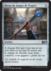Product image for Bâton du magus de l'esprit
