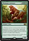 Product image for Piétineur terrestre