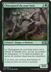 Product image for Charognard du sous-bois