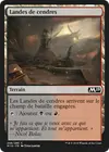Product image for Landes de cendres