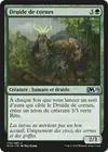Product image for Druide de cornes