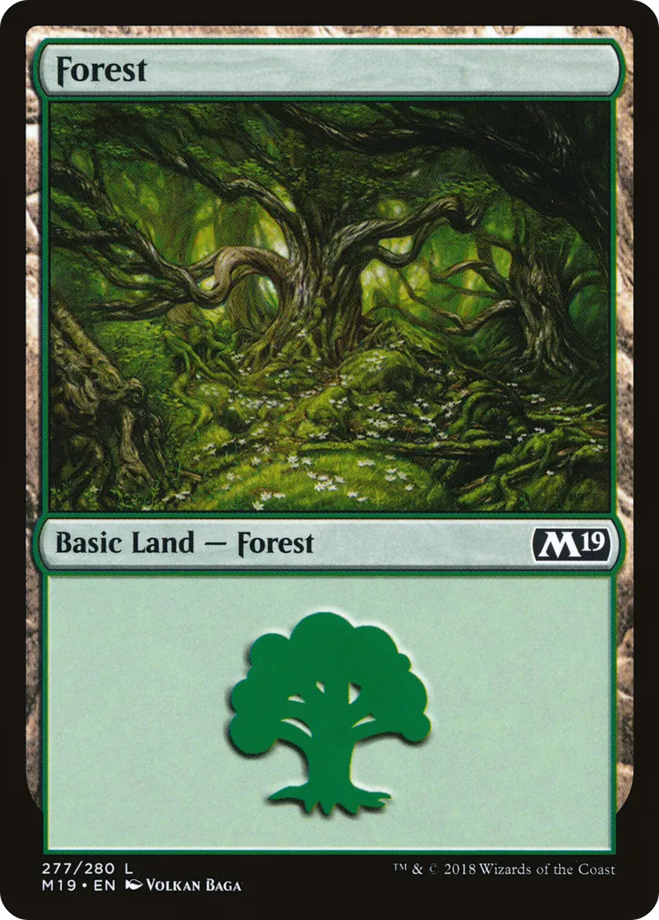 Forêt — Core Set 2019 — Magic: The Gathering