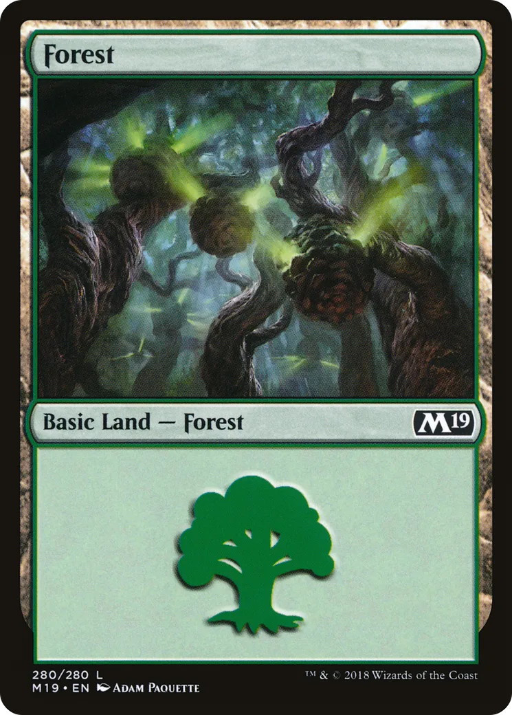 Forest — Core Set 2019 — Magic: The Gathering