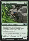 Product image for Sage du reboisement