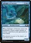 Product image for Salvager of Secrets