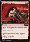 Product image for Tormenting Voice