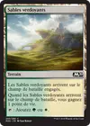 Product image for Sables verdoyants