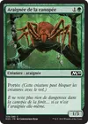 Product image for Araignée de la canopée