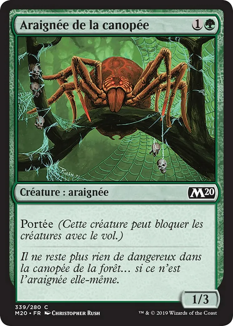 Araignée de la canopée from Core Set 2020 - Magic: The Gathering