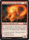 Product image for Chat de braises de Chandra