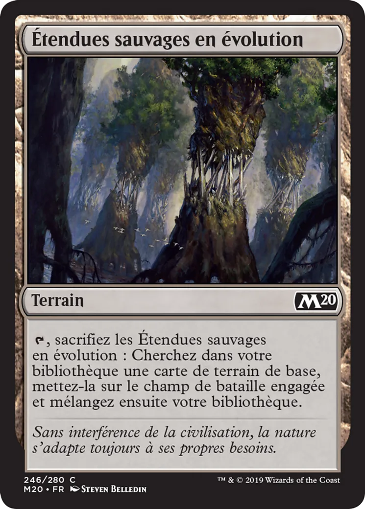 Étendues sauvages en évolution — Core Set 2020 — Magic: The Gathering